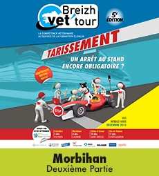 BVT 2015 / Morbihan - Partie 2
