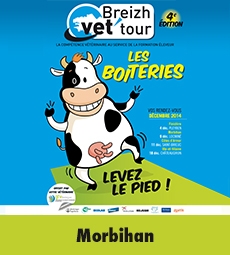 BVT 2014 / Morbihan