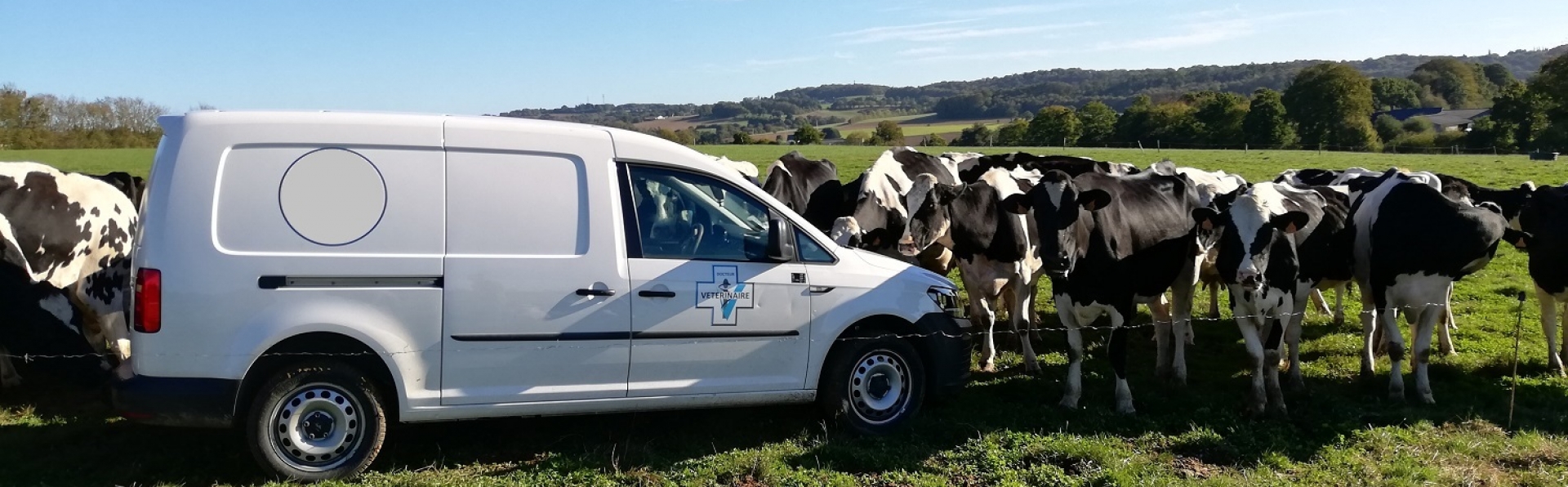 photo vétérinaire en milieu rural