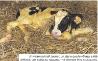 Un mort toutes les 8 minutes en Bretagne